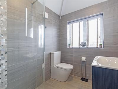 Exquisite Shower Room